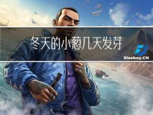 冬天的小葱几天发芽