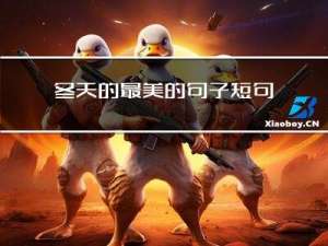 冬天的最美的句子短句
