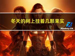 冬天的树上挂着几颗果实