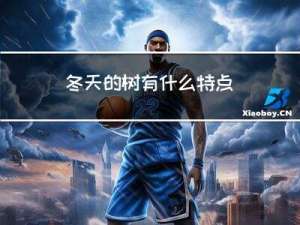冬天的树有什么特点