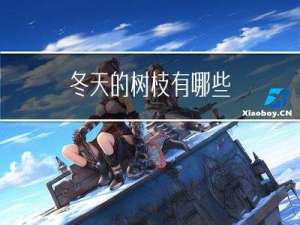 冬天的树枝有哪些