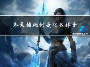 冬天的桃树是什么样子