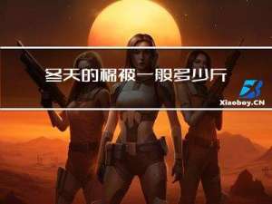 冬天的棉被一般多少斤