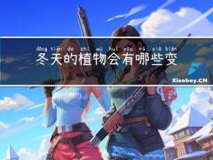 冬天的植物会有哪些变化