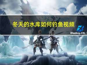 冬天的水库如何钓鱼视频