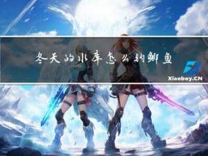 冬天的水库怎么钓鲫鱼