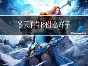冬天的牛肉什么样子