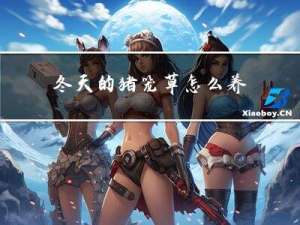 冬天的猪笼草怎么养