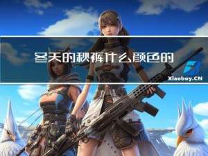 冬天的秋裤什么颜色的