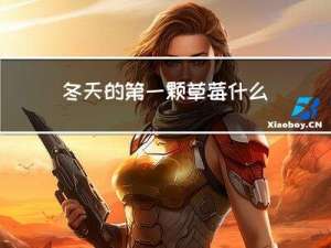 冬天的第一颗草莓什么梗