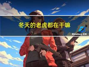 冬天的老虎都在干嘛