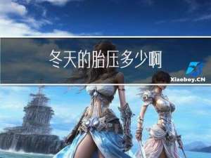 冬天的胎压多少啊