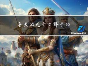 冬天的花什么样子的