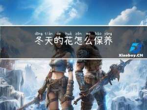 冬天的花怎么保养