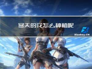 冬天的花怎么种植呢