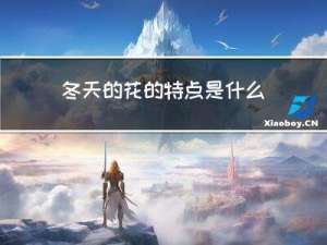 冬天的花的特点是什么