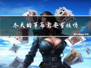 冬天的草莓需要剪枝吗