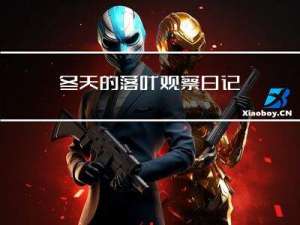 冬天的落叶观察日记