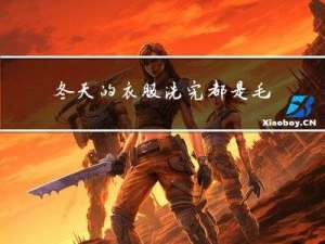 冬天的衣服洗完都是毛