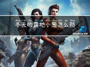 冬天的露地小葱怎么防护