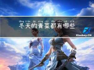 冬天的青菜都有哪些