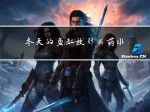 冬天的鱼缸放什么药水