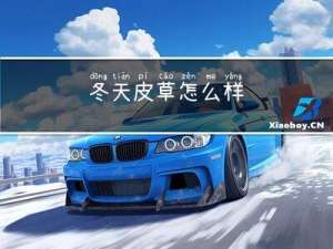 冬天皮草怎么样