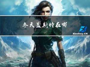 冬天盖斯特在哪