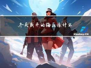 冬天盛开的梅花像什么