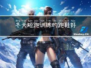 冬天短跑训练的跑鞋好吗