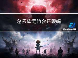 冬天砍毛竹会开裂吗