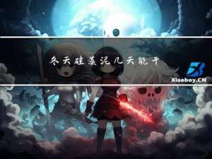 冬天硅藻泥几天能干