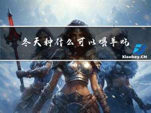 冬天种什么可以喂羊吃
