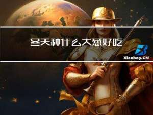 冬天种什么大葱好吃