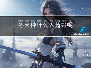 冬天种什么大葱好呢