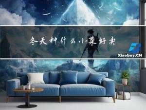 冬天种什么小菜好卖