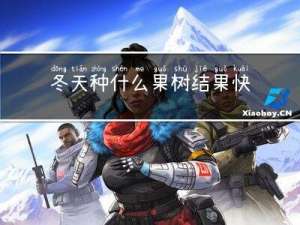 冬天种什么果树结果快