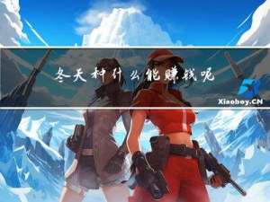 冬天种什么能赚钱呢