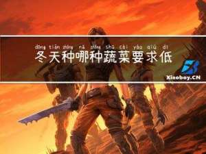 冬天种哪种蔬菜要求低点