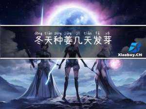 冬天种姜几天发芽