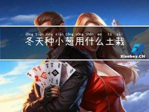 冬天种小葱用什么土栽