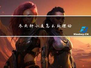 冬天种小麦怎么处理好