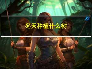 冬天种植什么树