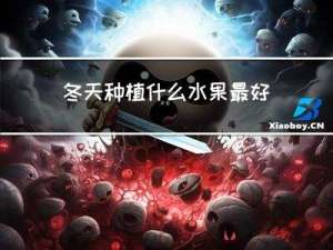 冬天种植什么水果最好