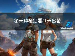 冬天种植红薯几天出苗