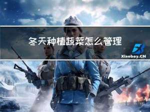 冬天种植蔬菜怎么管理视频