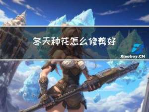 冬天种花怎么修剪好