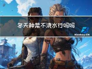 冬天种菜不浇水行吗吗