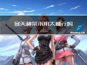冬天种菜不用大棚行吗