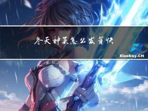 冬天种菜怎么发芽快